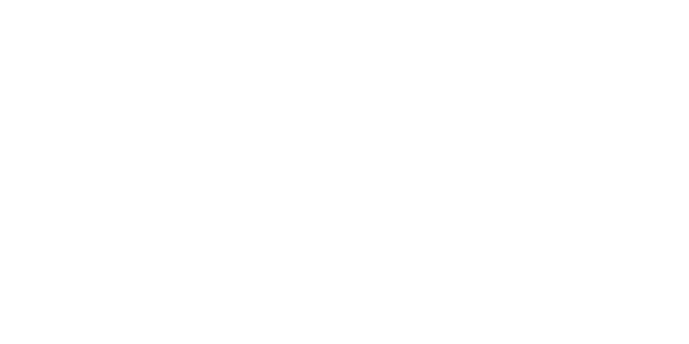 Fitich 2024